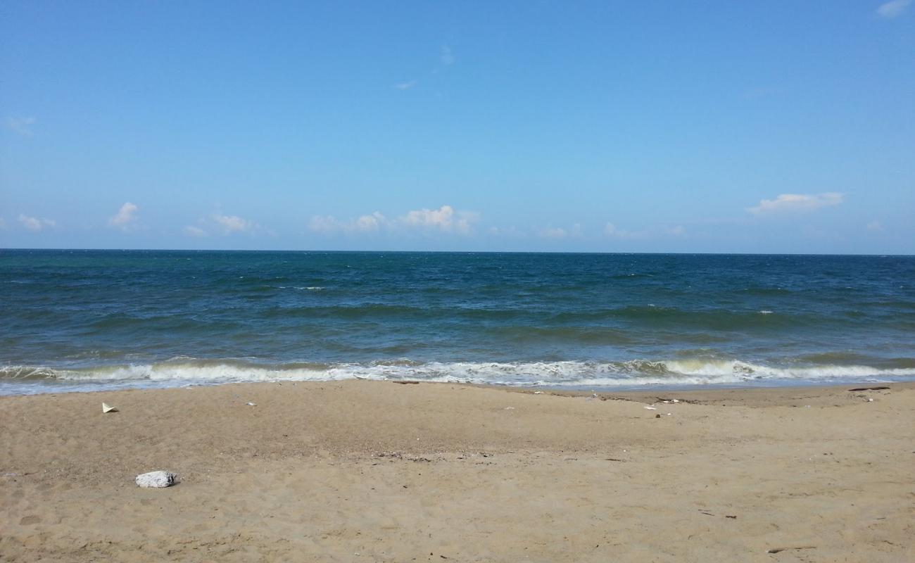 Photo de Tara Beach avec sable lumineux de surface