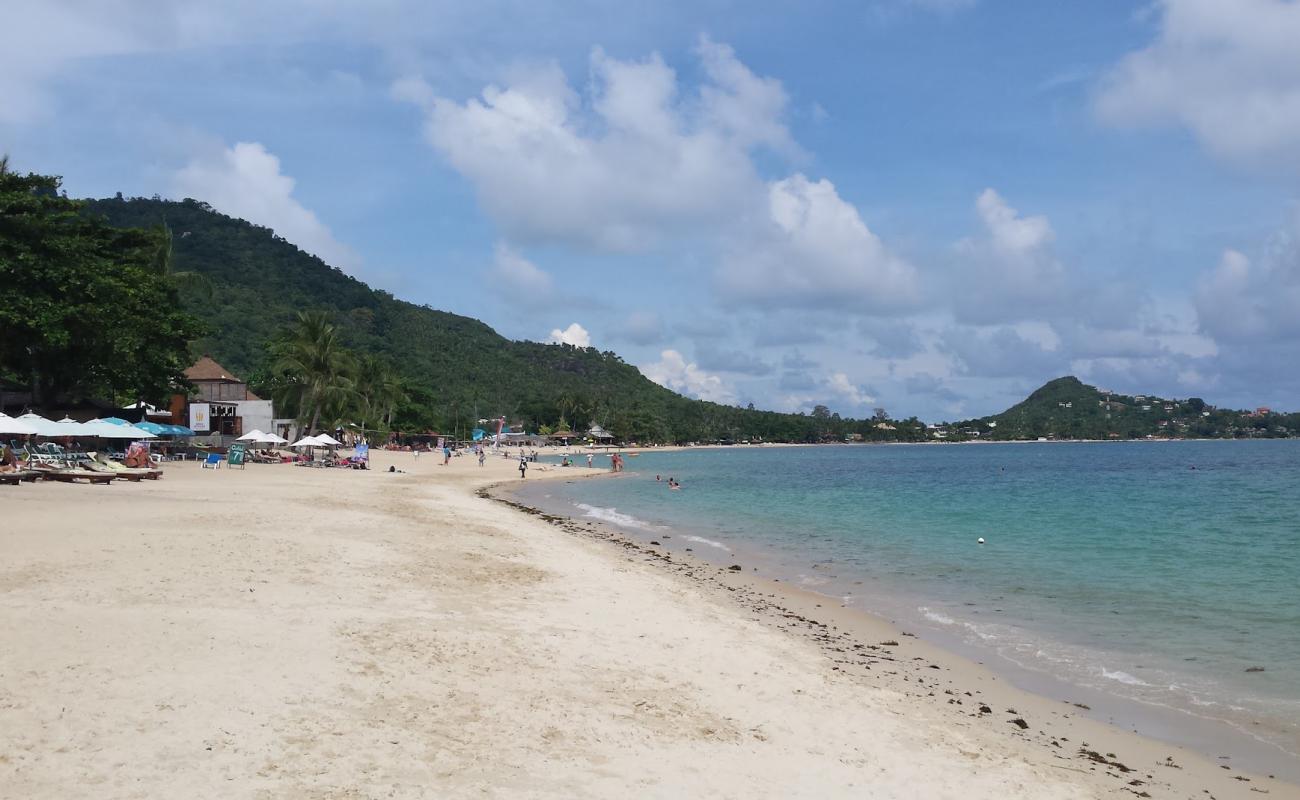 Photo de Plage de Lamai avec sable beige de surface
