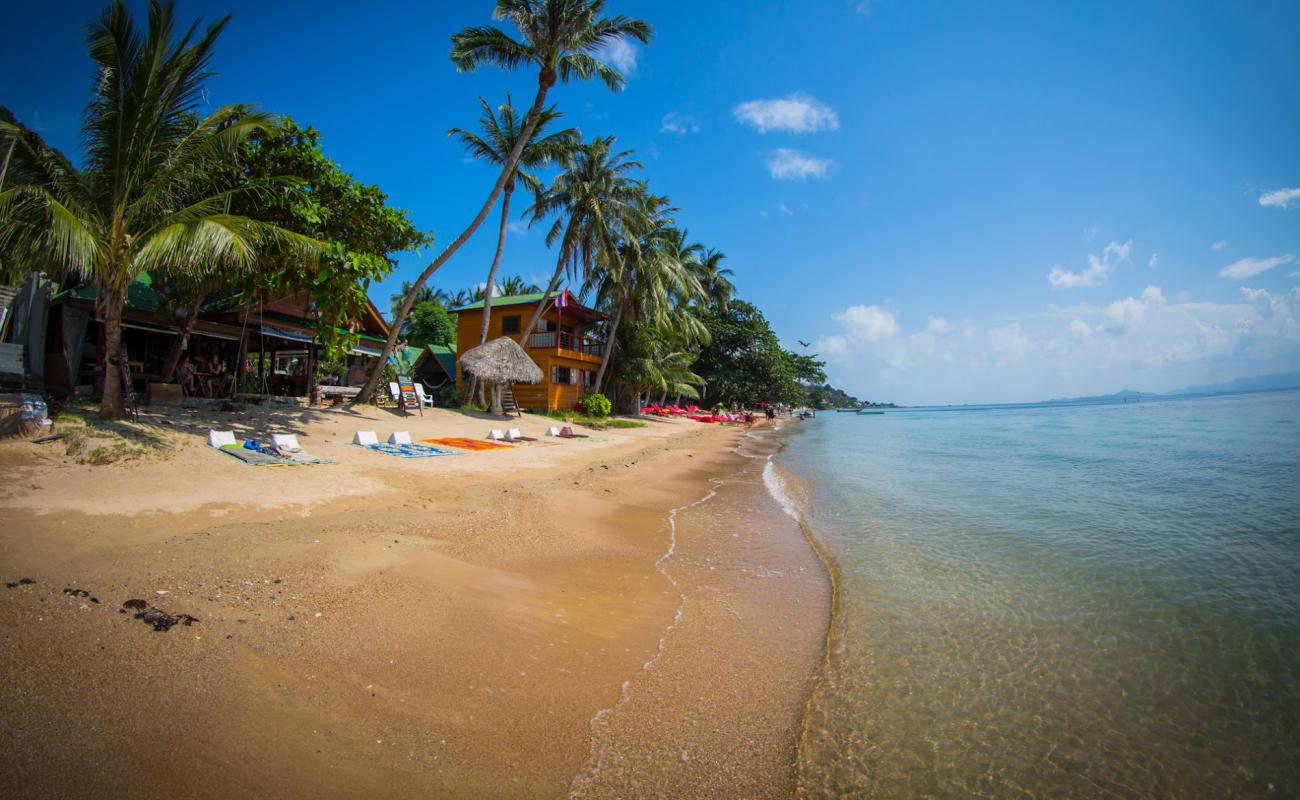 Photo de Sun beach avec sable beige de surface