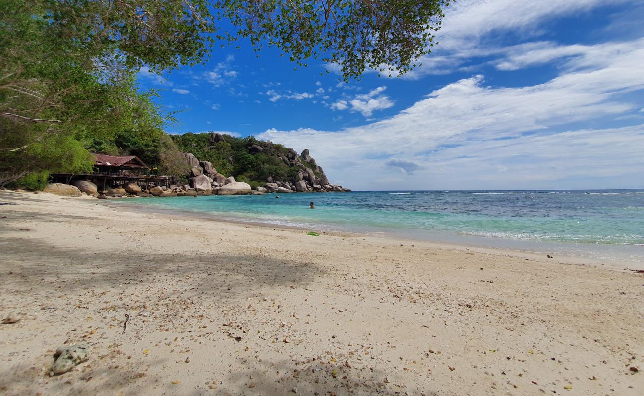 Photo de Freedom Beach avec sable beige de surface