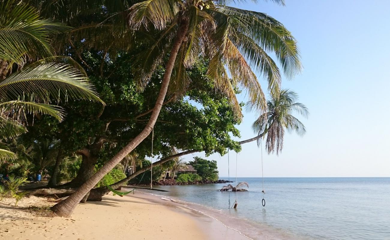 Photo de Palm Beach avec sable fin et lumineux de surface