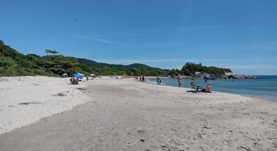 Praia das Bananeiras