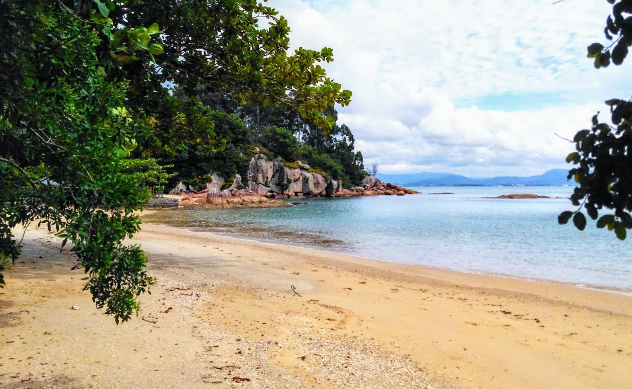 Photo de Mirante Calheiros Beach avec sable beige de surface