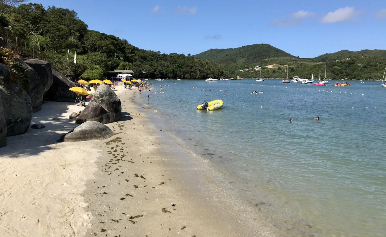 Photo de Praia da Ilha de Porto Belo avec sable beige de surface