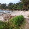 Praia do Fagundes