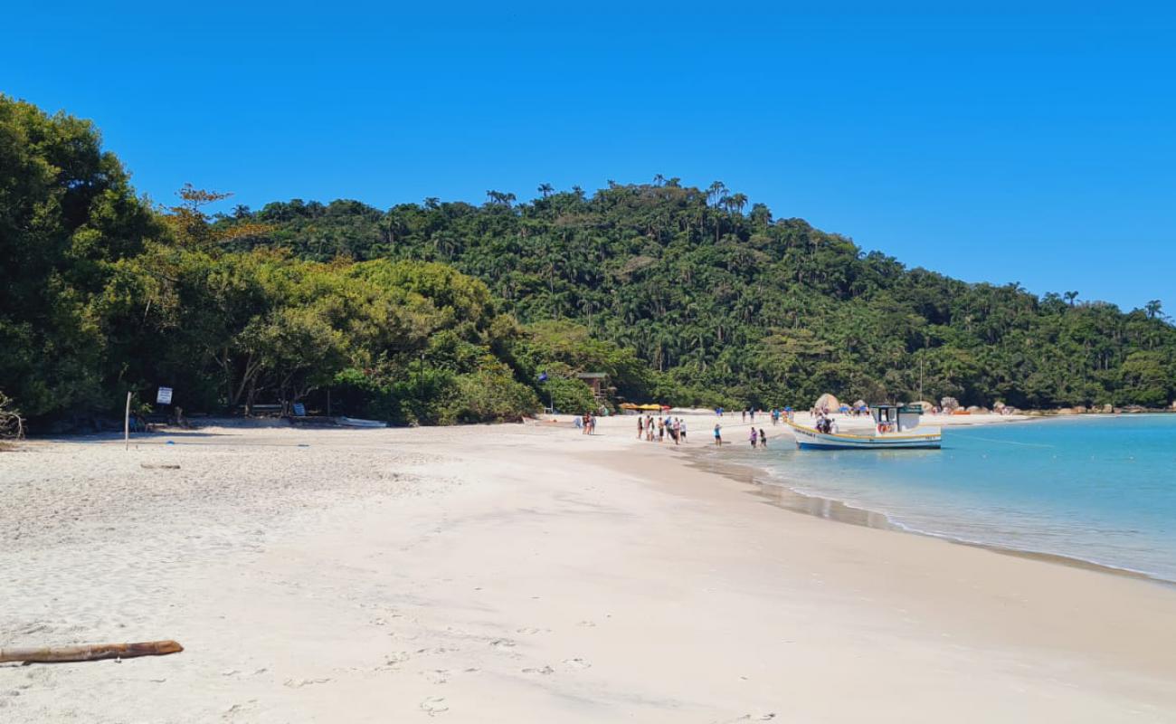 Photo de Praia da Ilha do Campeche avec sable beige de surface
