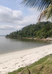 Île das Cobras