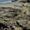 Praia do Surutuba