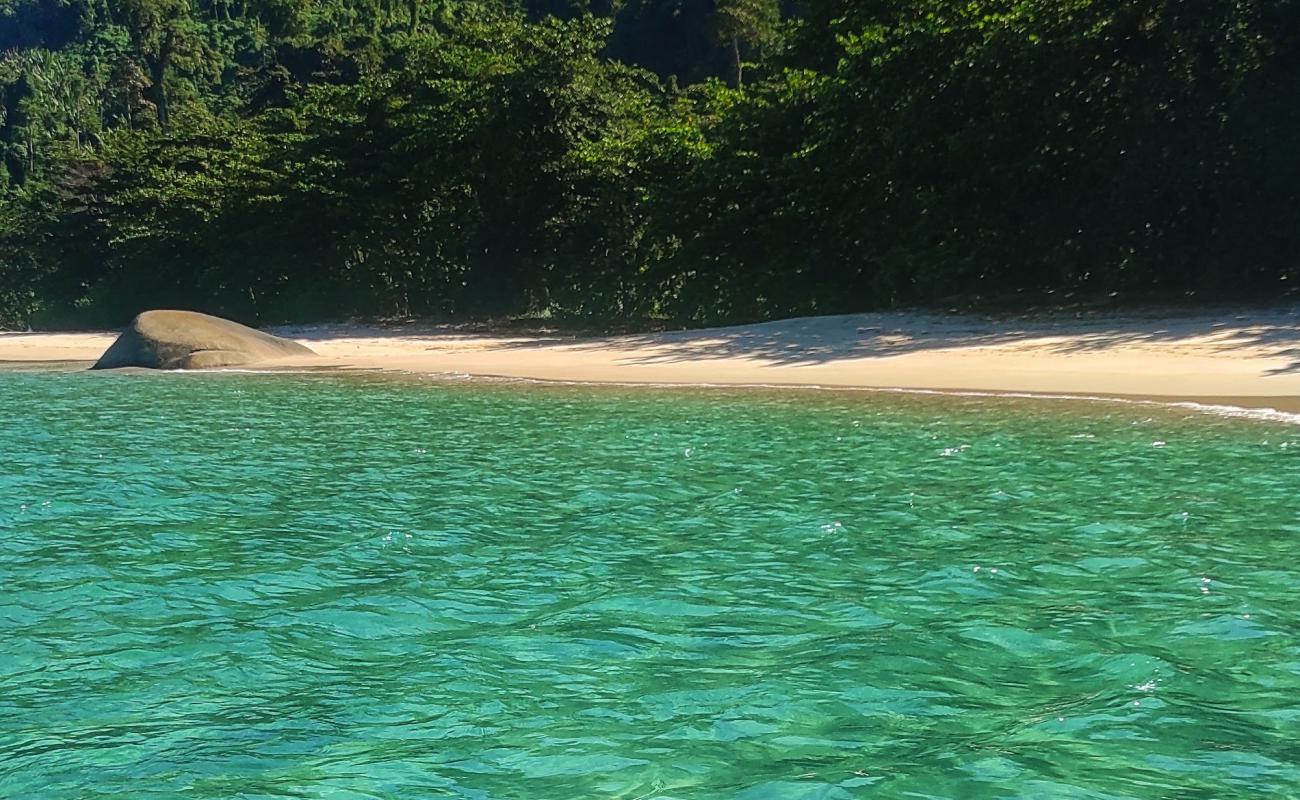 Photo de Fora do Mamede Beach avec sable beige de surface