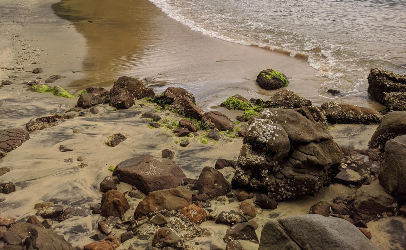 Photo de Prainha do Pinheiro avec sable beige de surface