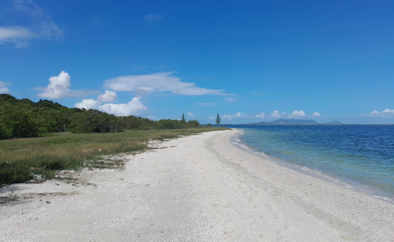 Photo de Praia Ancora da Baleia avec sable coquillé beige de surface