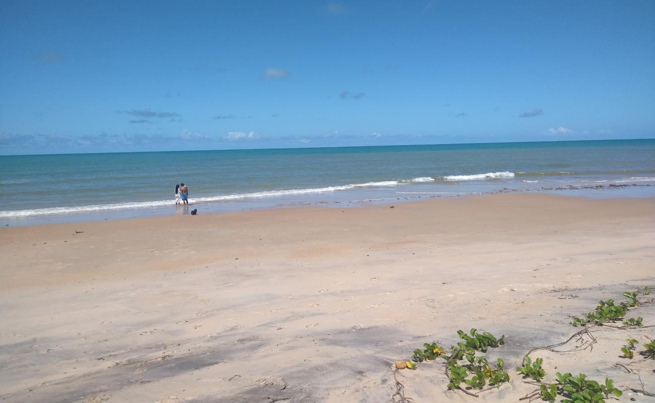 Photo de Praia do Veleiro avec sable beige de surface