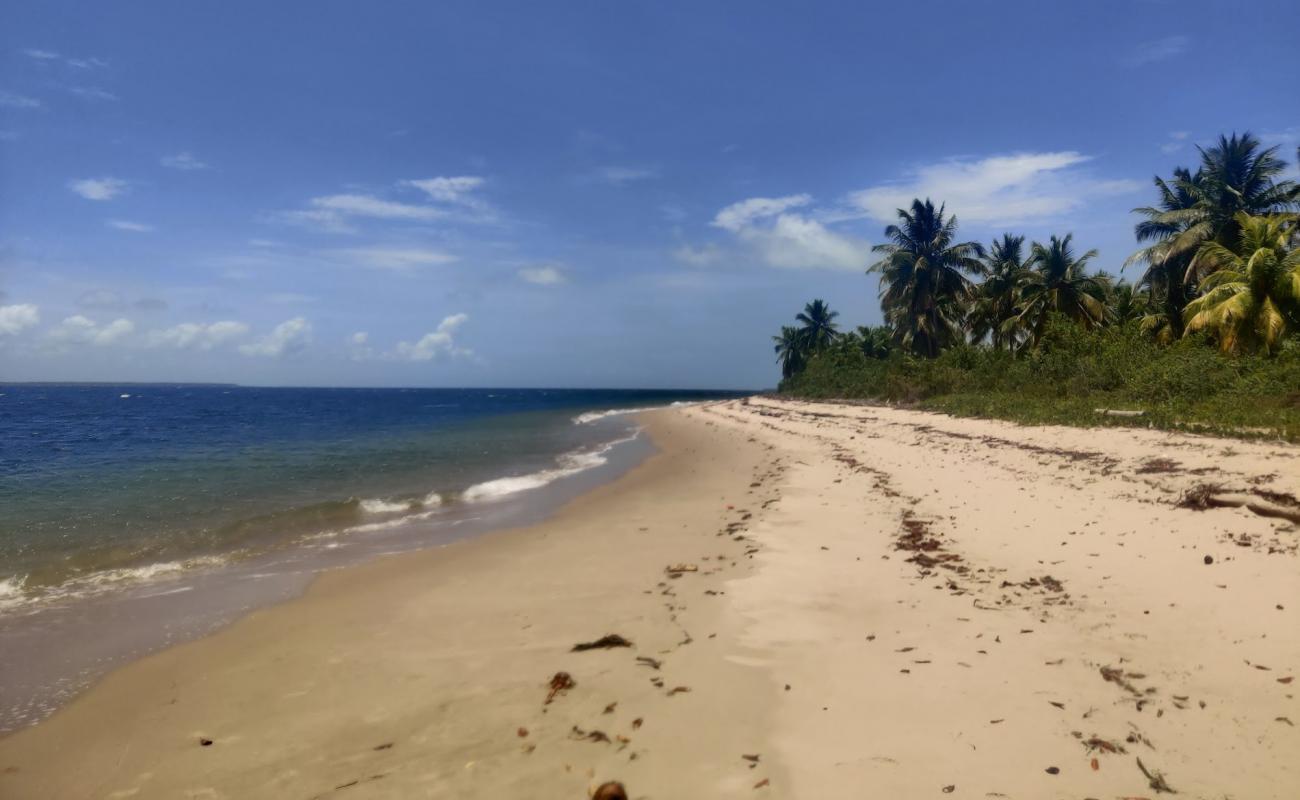 Photo de Ilha do Goio Beach avec sable beige fin de surface