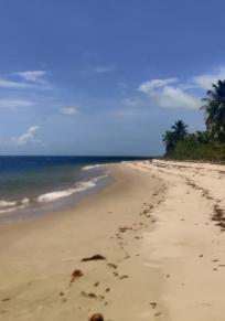 Île do Goio