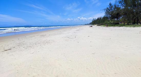 Praia de Taquari