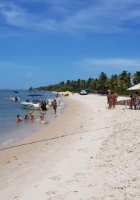 Île do Sogro