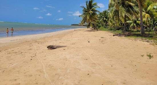 Praia de Bitingui