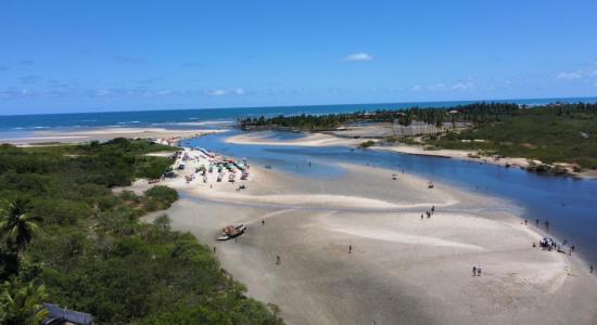Playa De Vista De Caballito De Mar