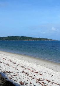 Île du Francês