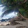 Praia da Carnaubinha