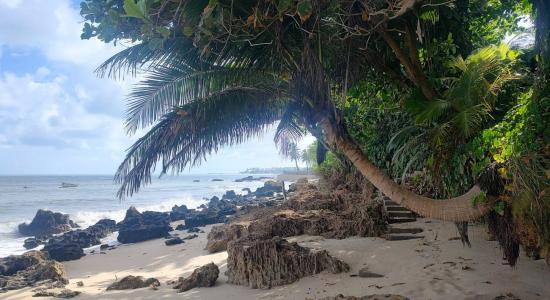 Praia da Carnaubinha