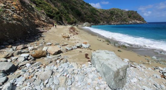 Iguana bay beach