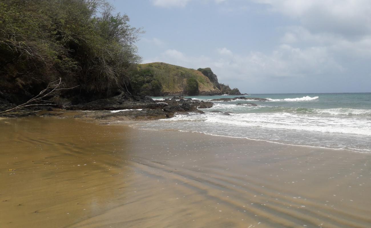 Photo de Clarkes Bay beach avec sable brun avec roches de surface