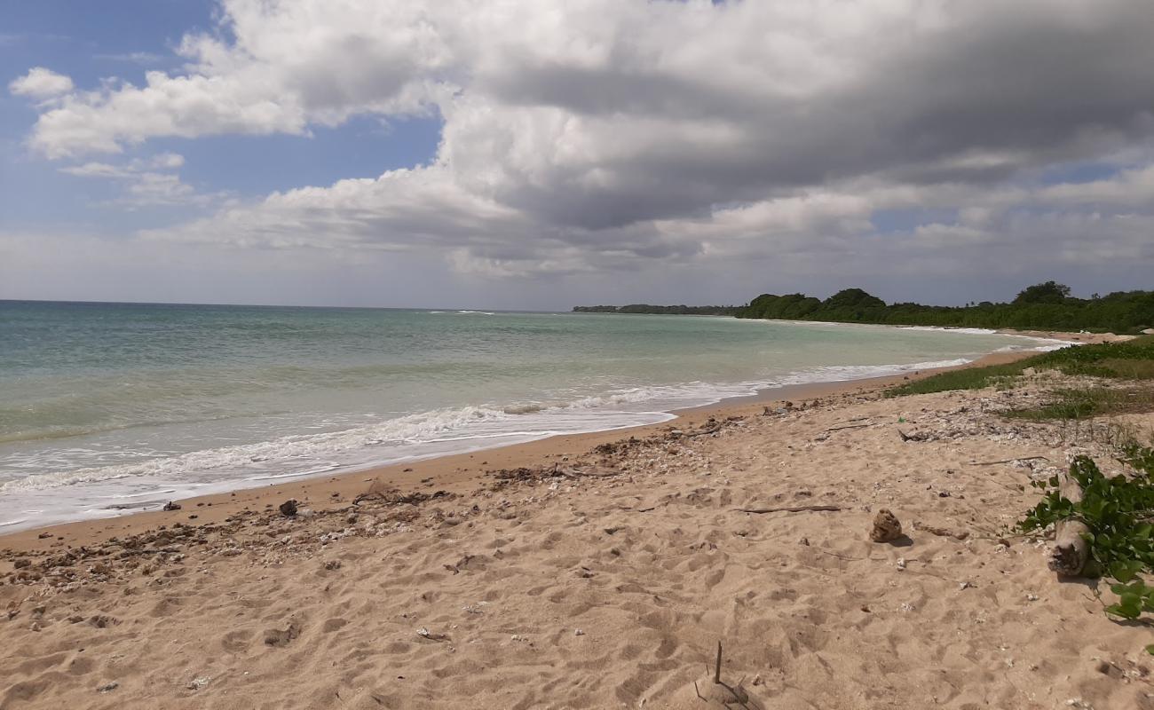 Photo de Lighthouse beach avec sable fin et lumineux de surface