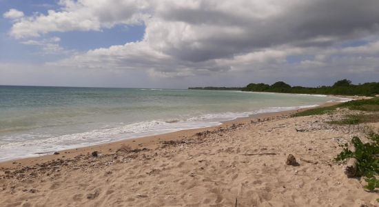 Lighthouse beach