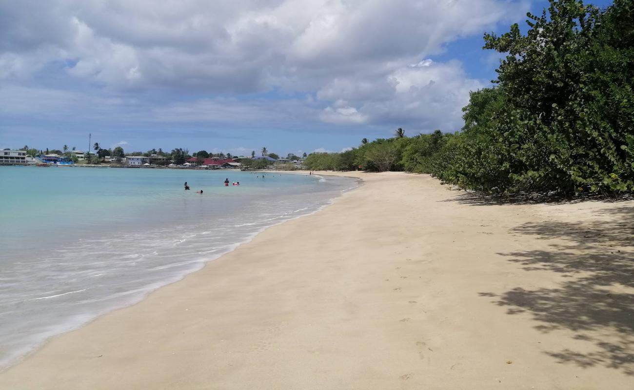 Photo de Buccoo beach avec sable fin et lumineux de surface