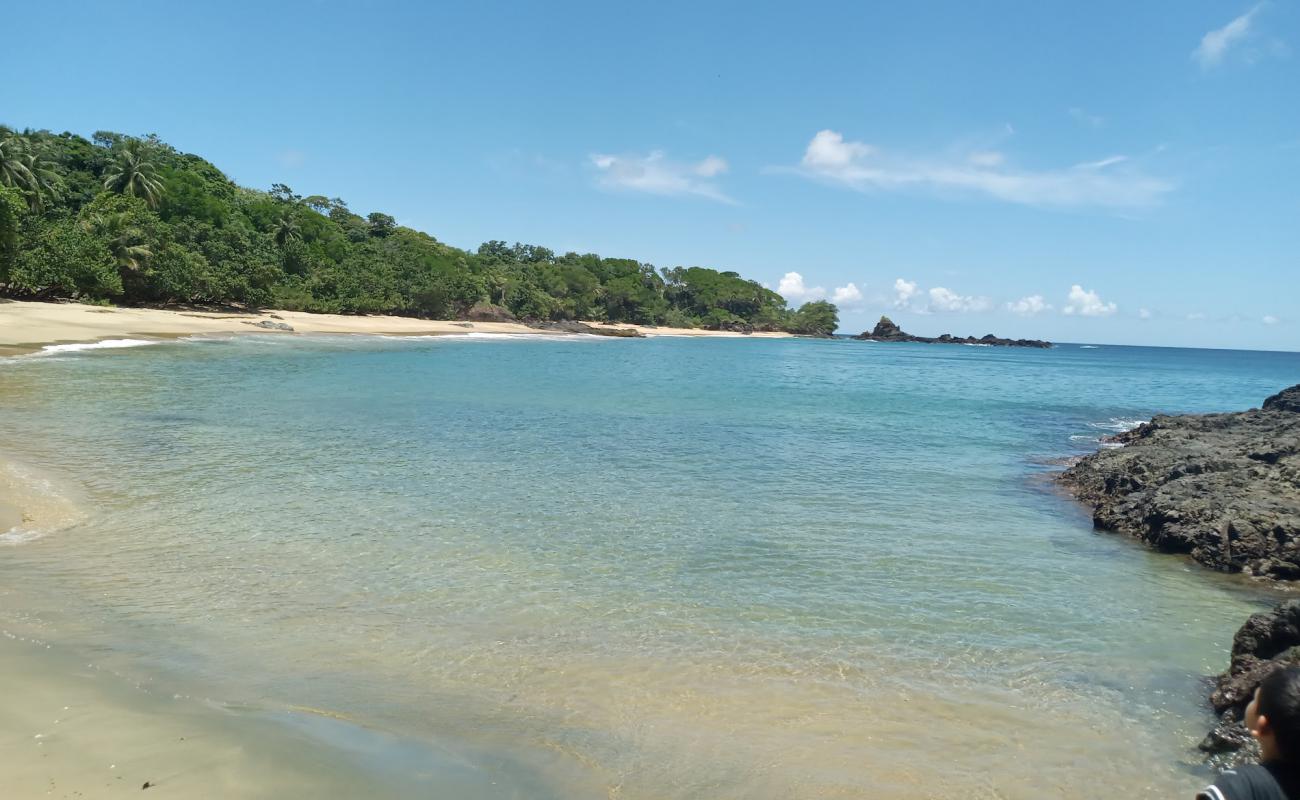 Photo de Pleasant beach avec sable lumineux de surface