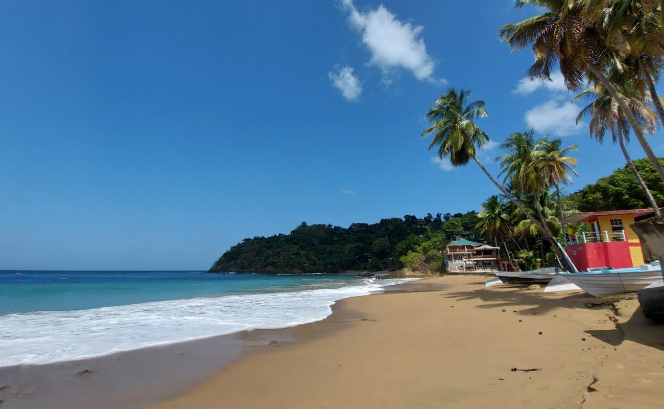 Photo de Castara beach avec sable beige de surface