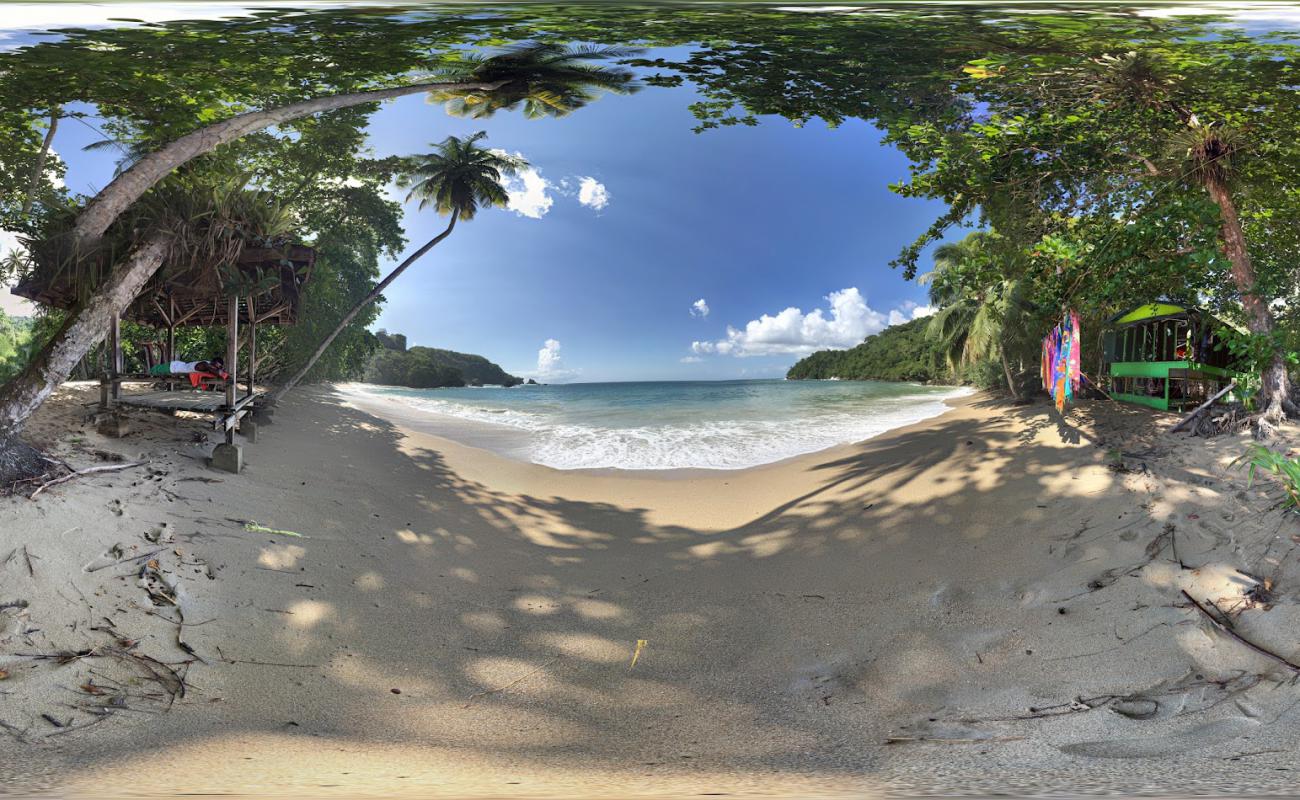 Photo de Plage de la baie de Englishman avec sable beige de surface