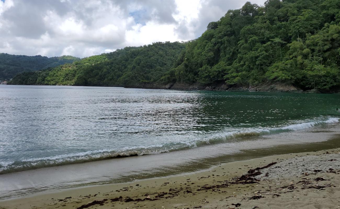 Photo de Man O War Bay beach avec sable brun de surface