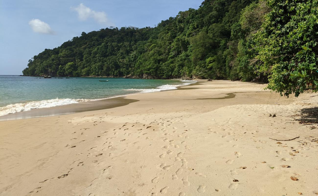 Photo de Pirate's Bay beach avec sable fin et lumineux de surface