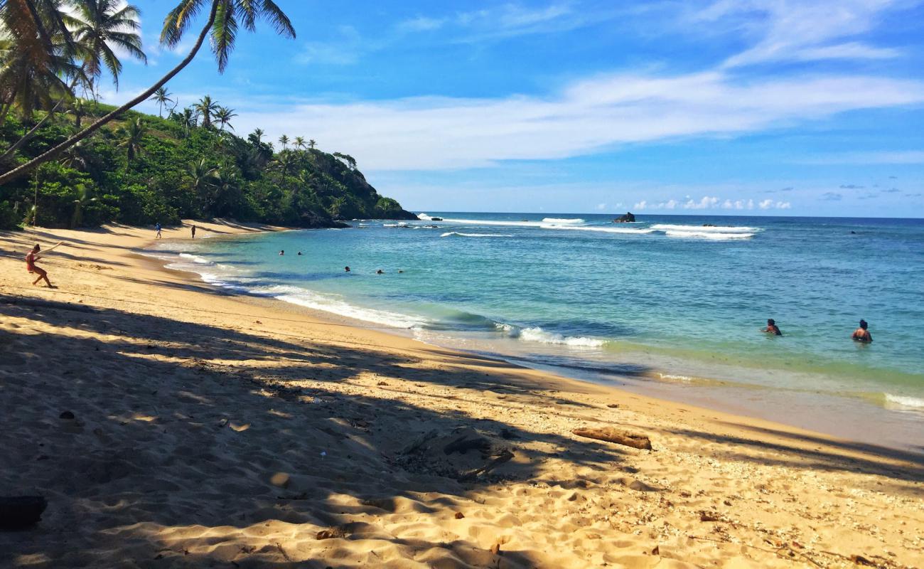 Photo de Salybia beach avec sable beige de surface