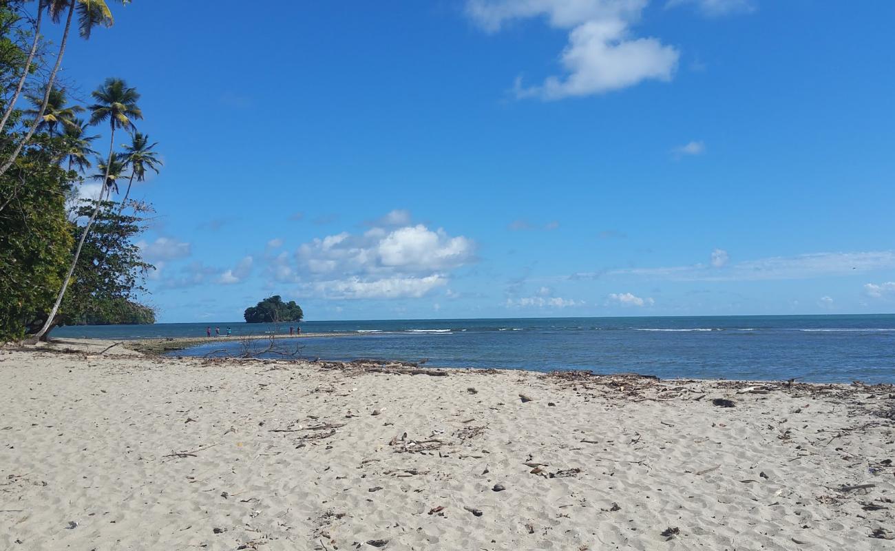 Photo de Salybia beach avec sable beige de surface