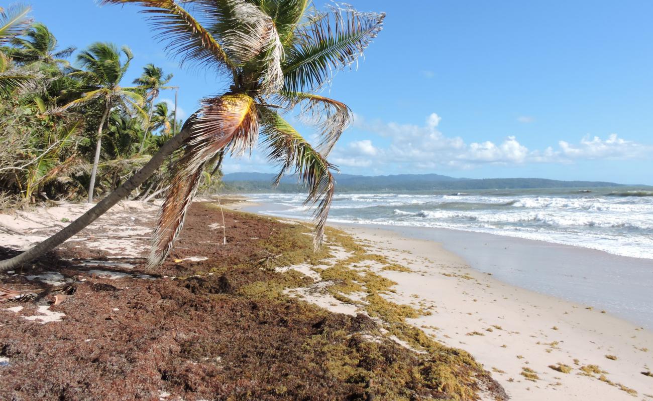 Photo de Matura beach avec sable beige de surface