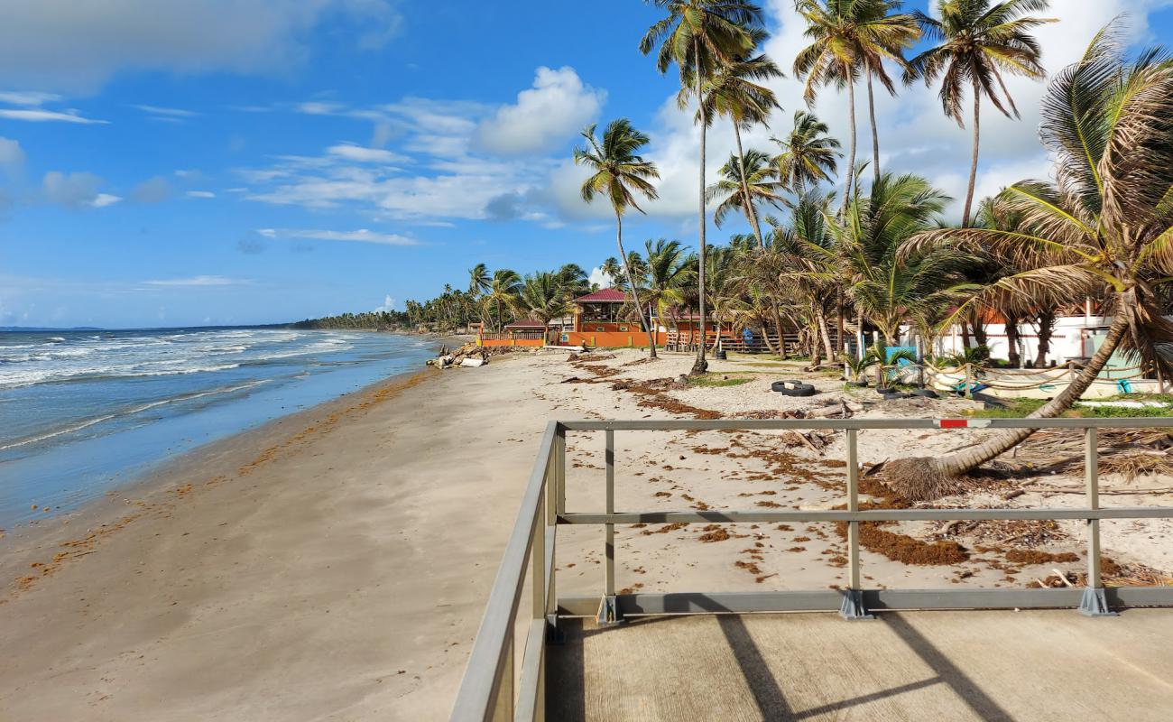 Photo de Manzanilla beach avec sable beige de surface