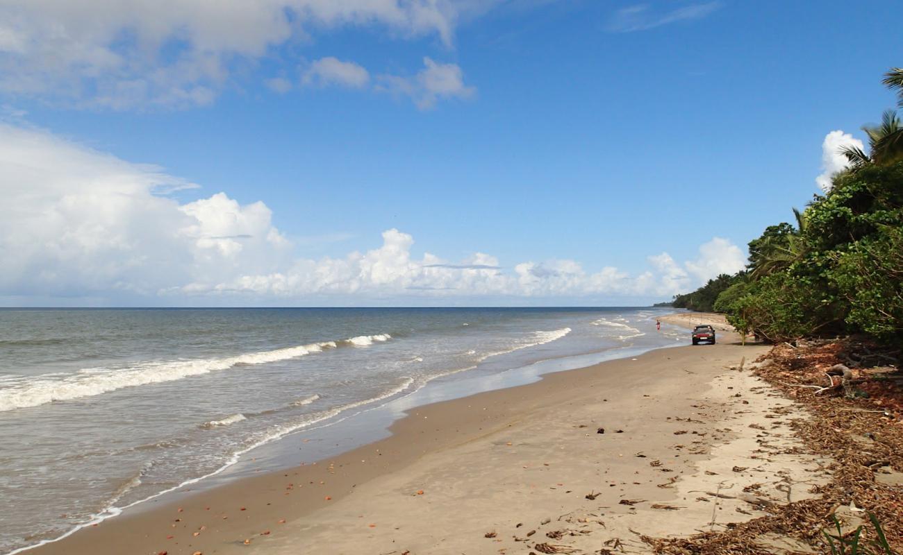 Photo de Chatham beach avec sable beige de surface