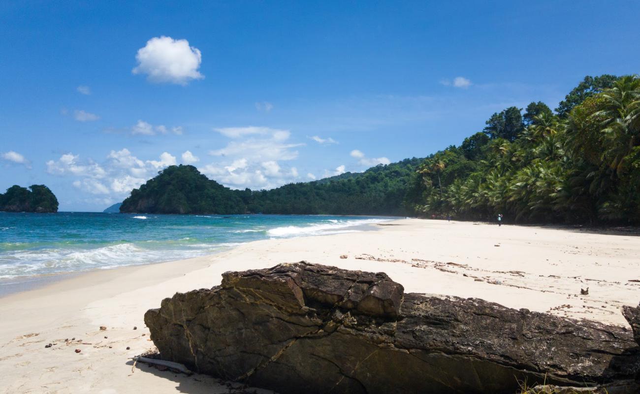 Photo de Plage de Paria Bay avec sable lumineux de surface