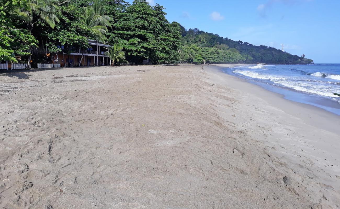 Photo de Grand Riviere beach avec sable lumineux de surface