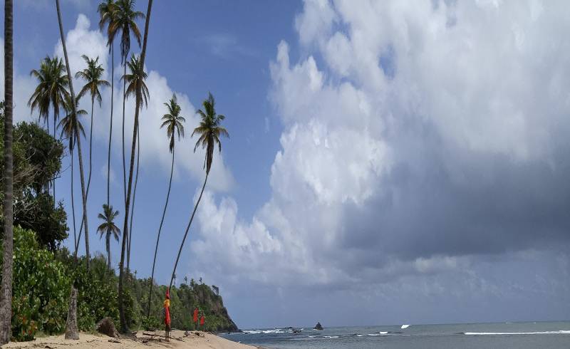 Photo de Toco beach avec sable beige de surface