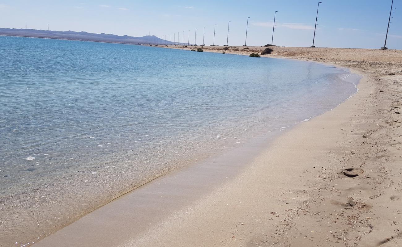 Photo de Sir Bani Yas beach avec sable blanc de surface