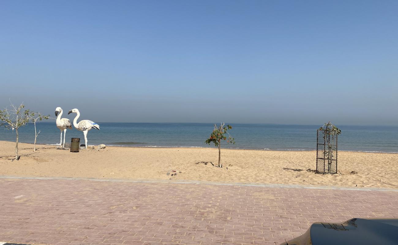 Photo de Flamingo beach avec sable beige de surface