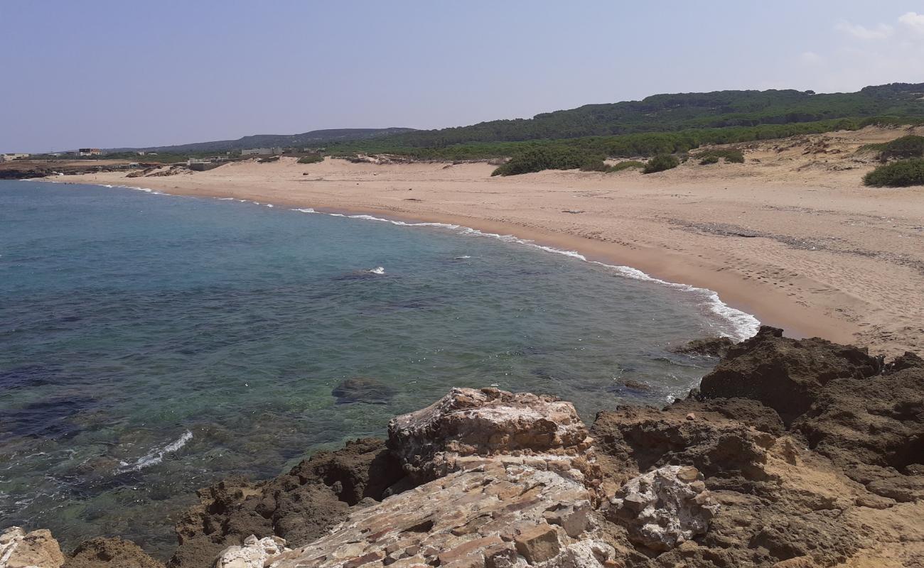 Photo de Plage Sidi Mechreg avec sable brun de surface