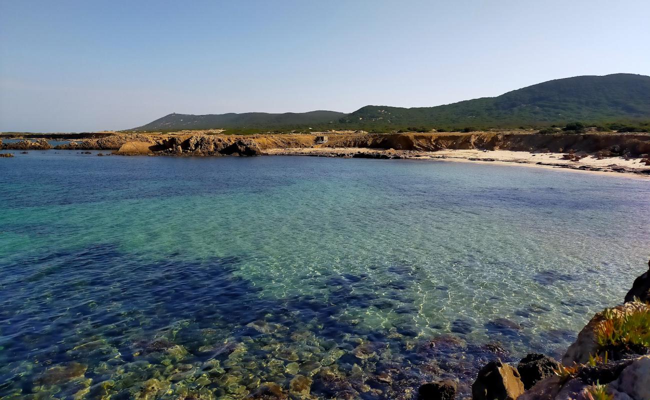 Photo de Plage Sidi el Bechir avec sable fin et lumineux de surface