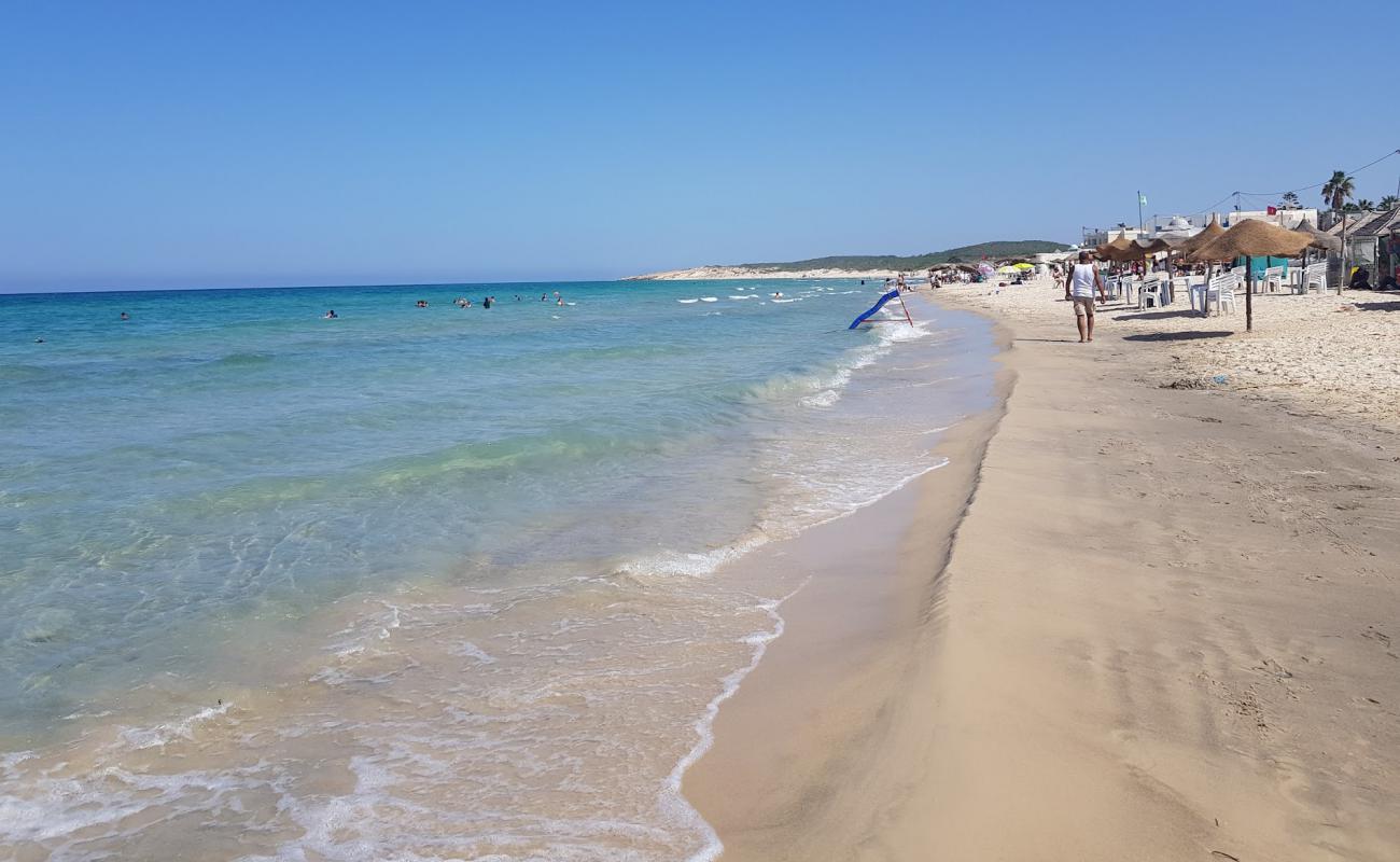 Photo de Chatt Memi avec sable brun de surface