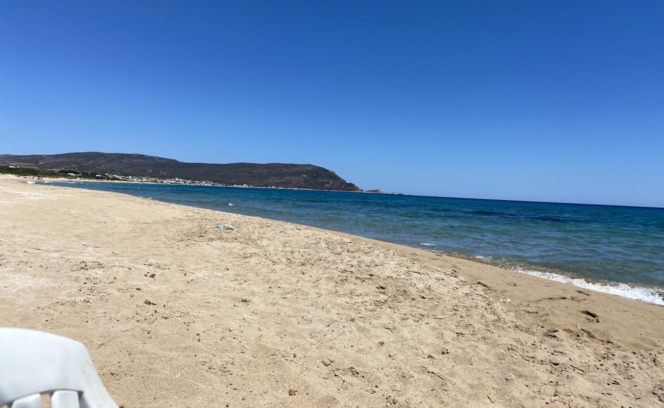 Photo de Eastern Haouaria II avec sable beige de surface