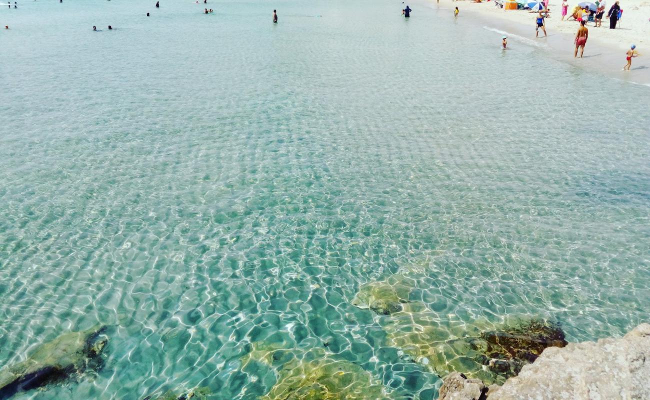 Photo de Base Nautique beach avec sable lumineux de surface